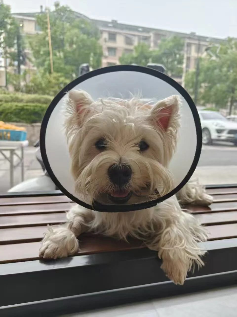 这是我们在医院给她生前拍的最后一张照片。