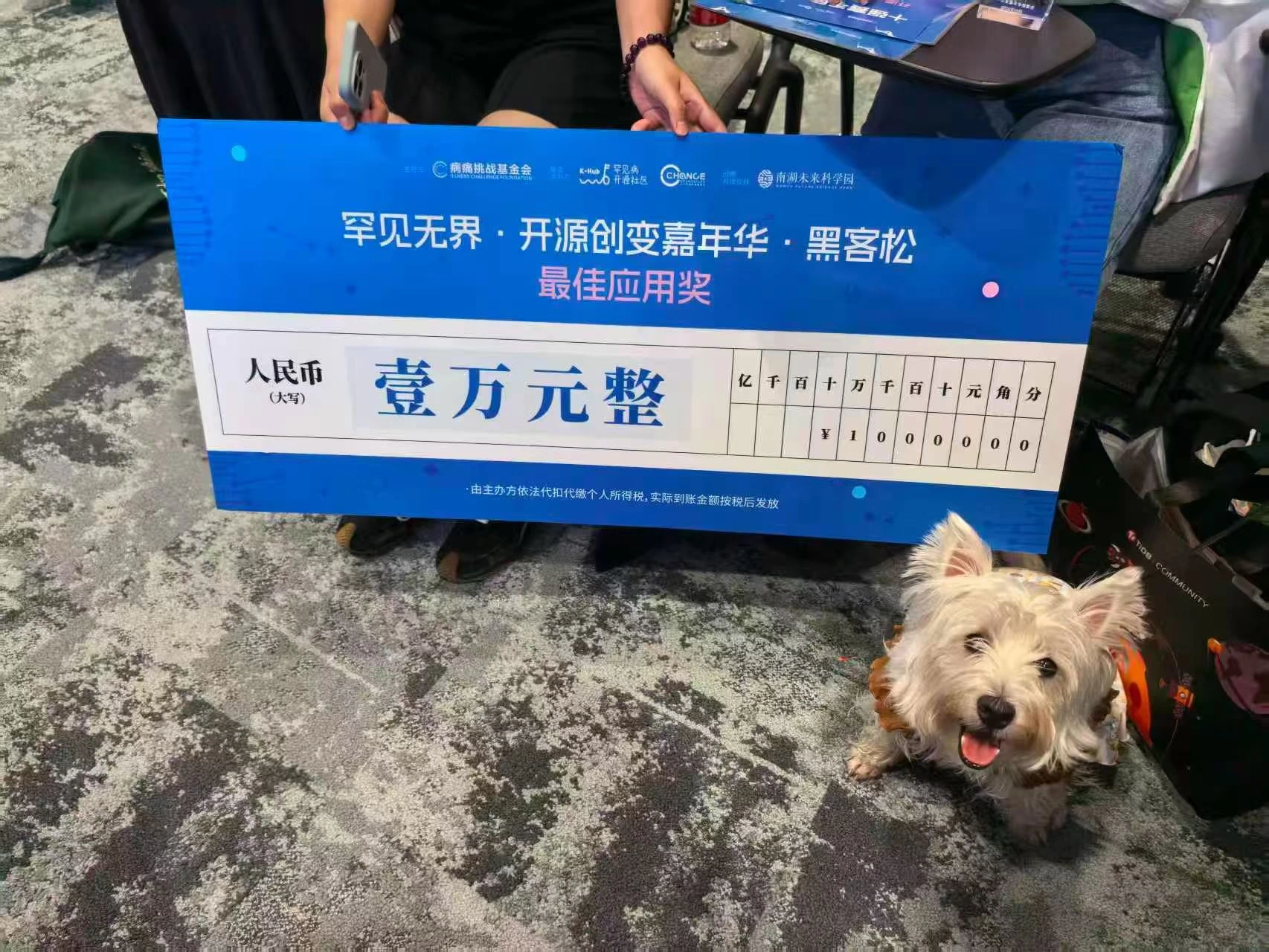 顶呱呱和我们的“最佳应用奖”奖牌。